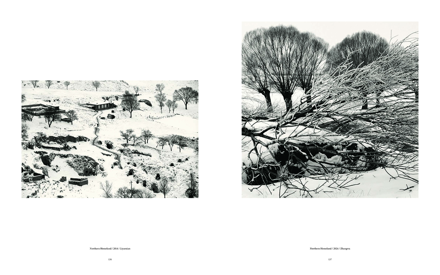 Li Qiang the Negative Sent to Future推广-7 拷贝.jpg